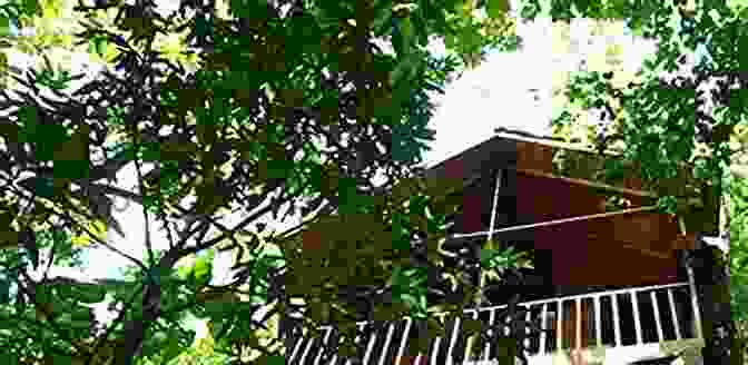 A Panoramic View Of Pura Vida Tree House Lullaby, Nestled Amidst Lush Greenery And Towering Trees, Showcasing Its Unique Architecture And Tranquil Surroundings. PURA VIDA: A Tree House Lullaby