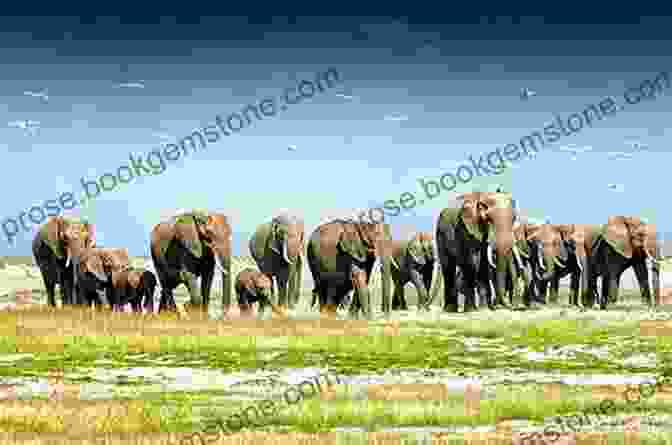 A Serene Photograph Of A Herd Of Elephants Traversing The African Savanna, Showcasing The Beauty And Majesty Of These Gentle Giants. Earth Unleashed (Earthrise 12) Daniel Arenson
