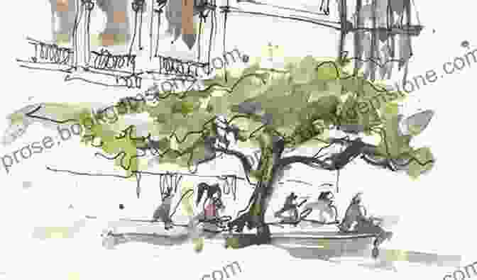 A Woman Sketching A Tree In Her Urban Sketchbook The Urban Sketching Handbook Spotlight On Nature: Tips And Techniques For Drawing And Painting Nature On Location (Urban Sketching Handbooks)