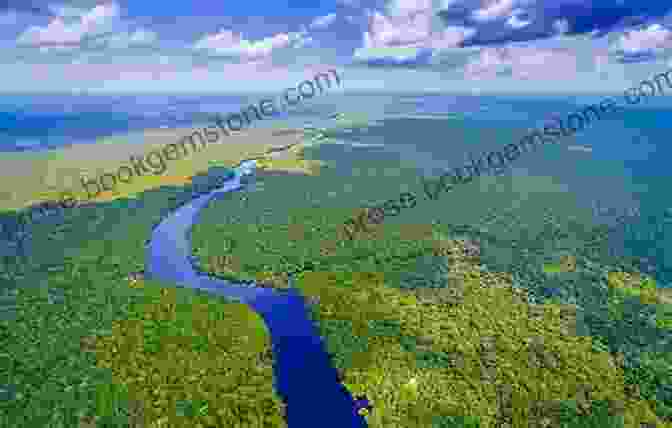 Aerial View Of The Amazon River In Colombia Travel The Amazon River COLOMBIA: How To Tour The Rainforest Safely Easily Economically