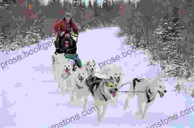 Cover Image Of Mad Dogs And An Englishwoman: Travels With Sled Dogs In Canada S Frozen North