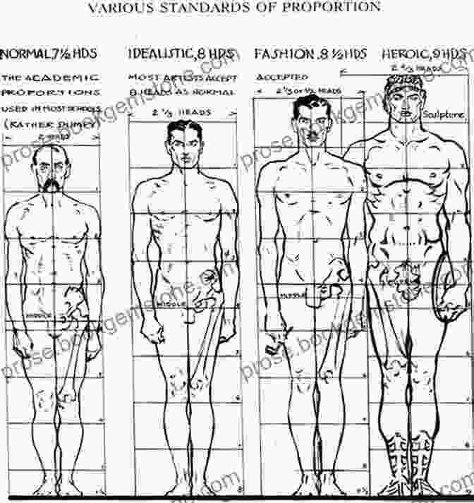 Diagram Of Human Body Proportions Anatomy For Artists Made Easy (Made Easy (Art))