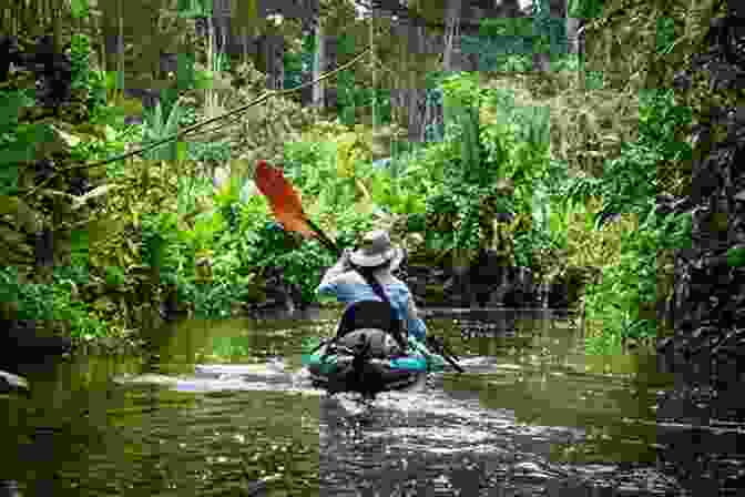 Serene Canoeing Through The Lush Amazon Rainforest The Robber Of Memories: A River Journey Through Colombia