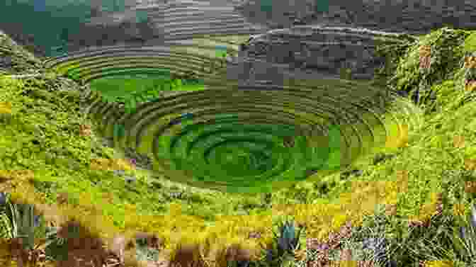 The Author Hikes Through A Field Of Wildflowers On The Ancient Inca Terraces Of Moray, Peru. Afterlight: In Search Of Poetry History And Home