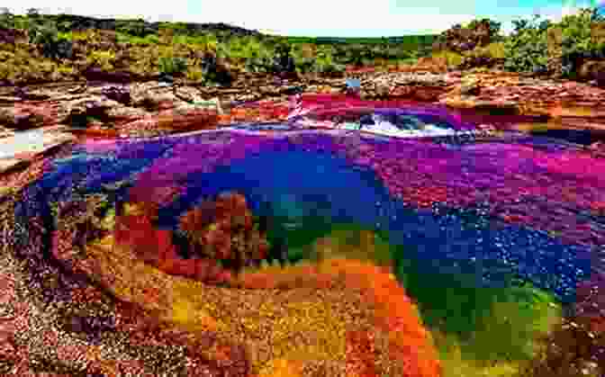 Vibrant Colors Dance In Cano Cristales, The 'Liquid Rainbow' The Robber Of Memories: A River Journey Through Colombia
