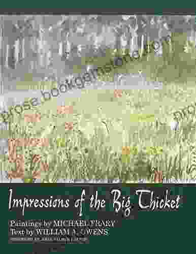 Impressions Of The Big Thicket (Blaffer Of Southwestern Art)