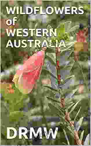 WILDFLOWERS Of WESTERN AUSTRALIA DRMW